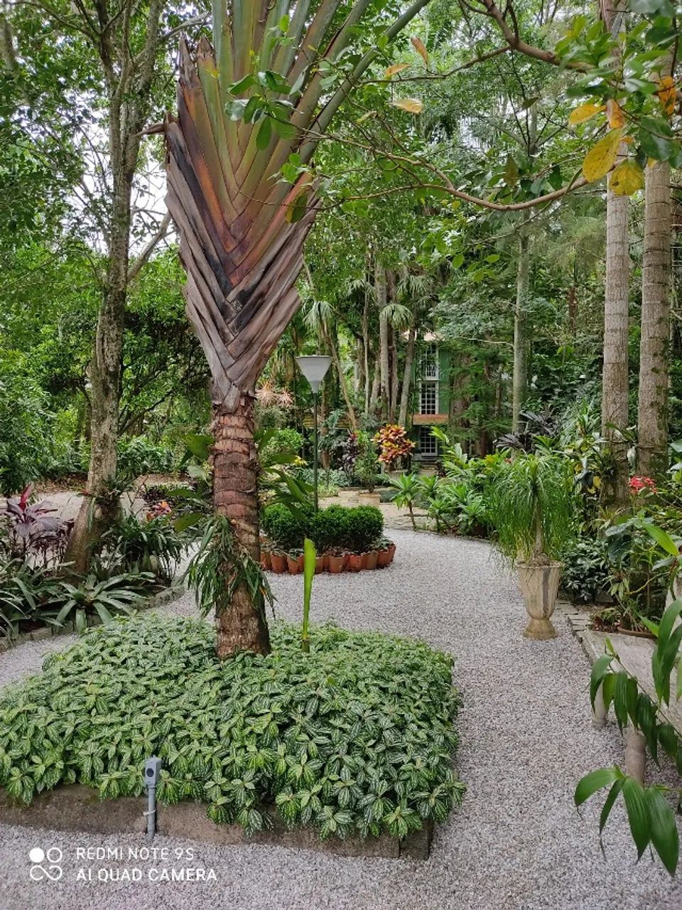 Sítio (Chácara) em Palhoça - Foto 2