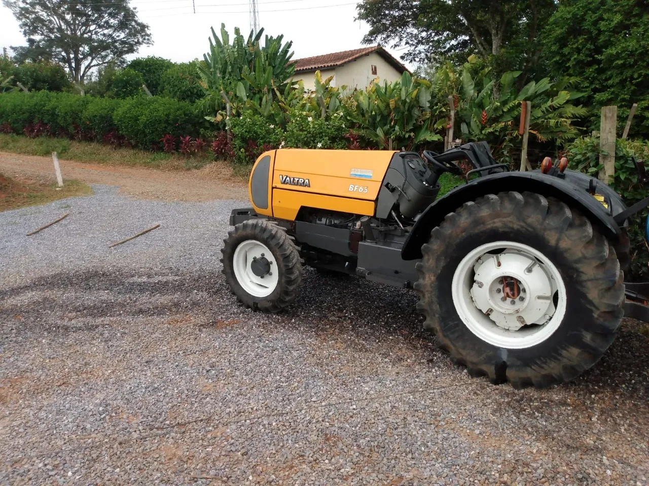 Trator Valtra BF 65