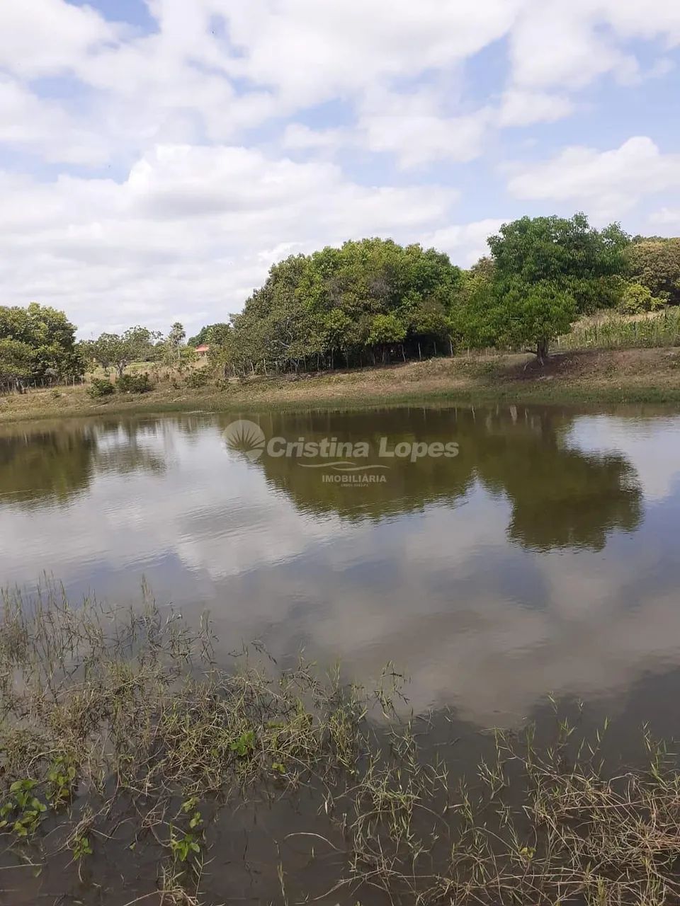 Sítio à venda, zona rural, José de Freitas, PI