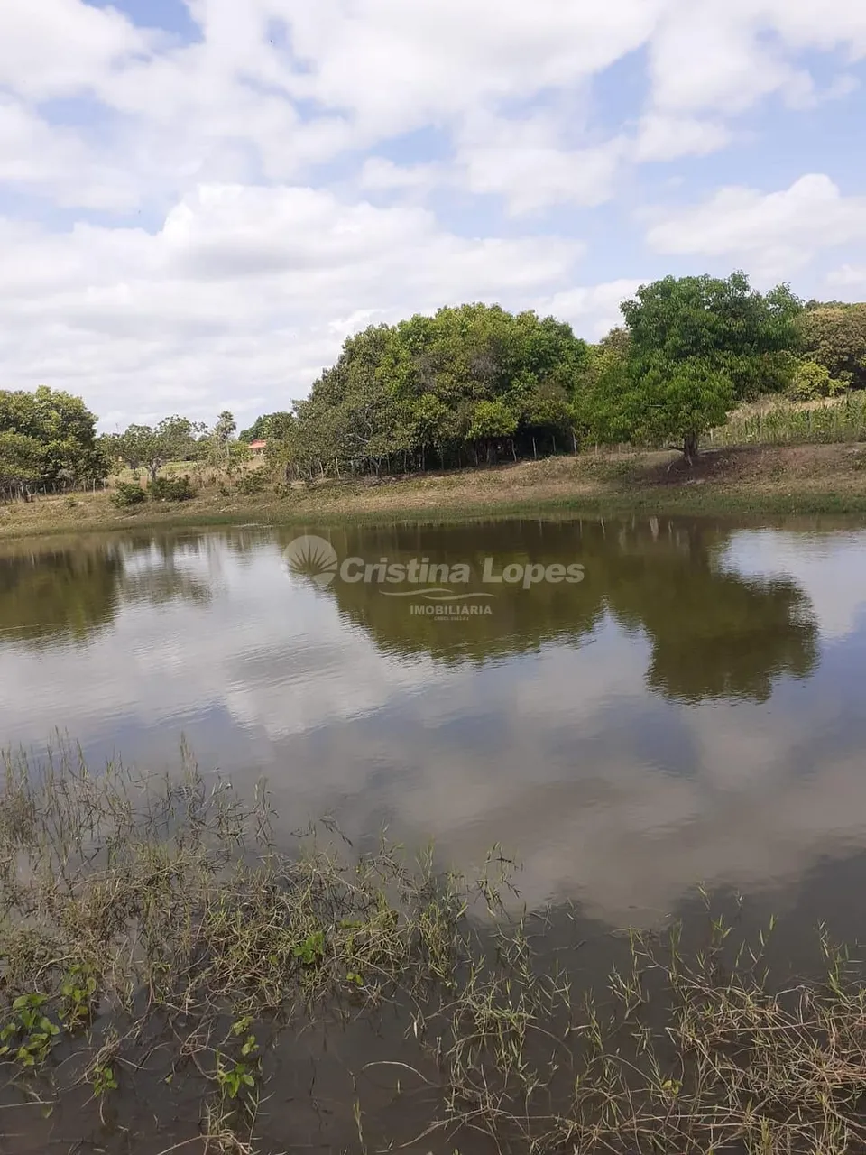 Sítio à venda, zona rural, José de Freitas, PI