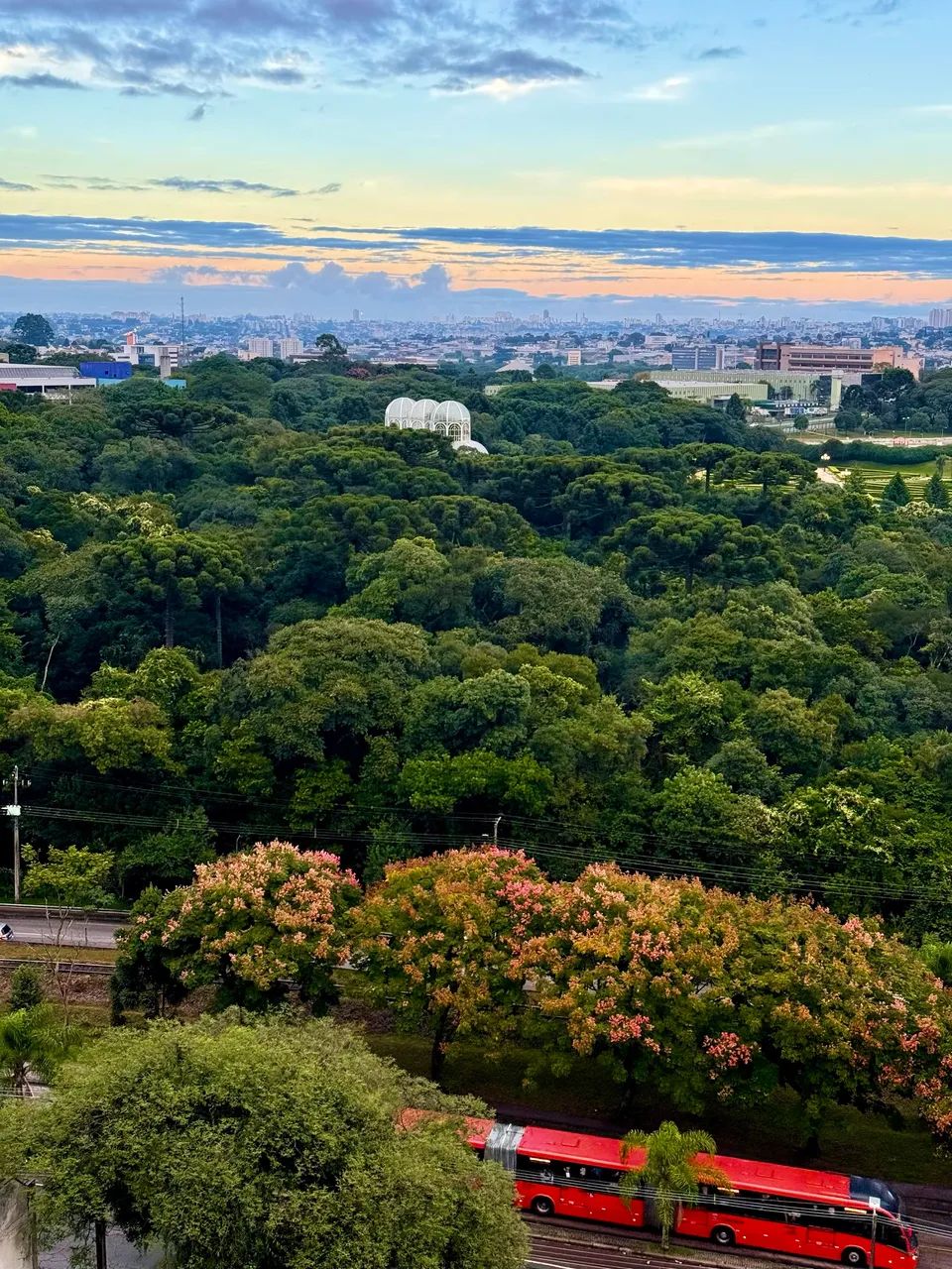 Foto - Balneário Camboriú - Centro