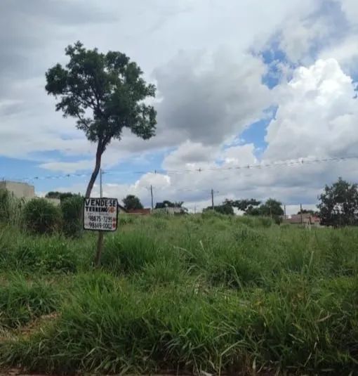 Lote direto com o proprietário (melhor custo e benefício)