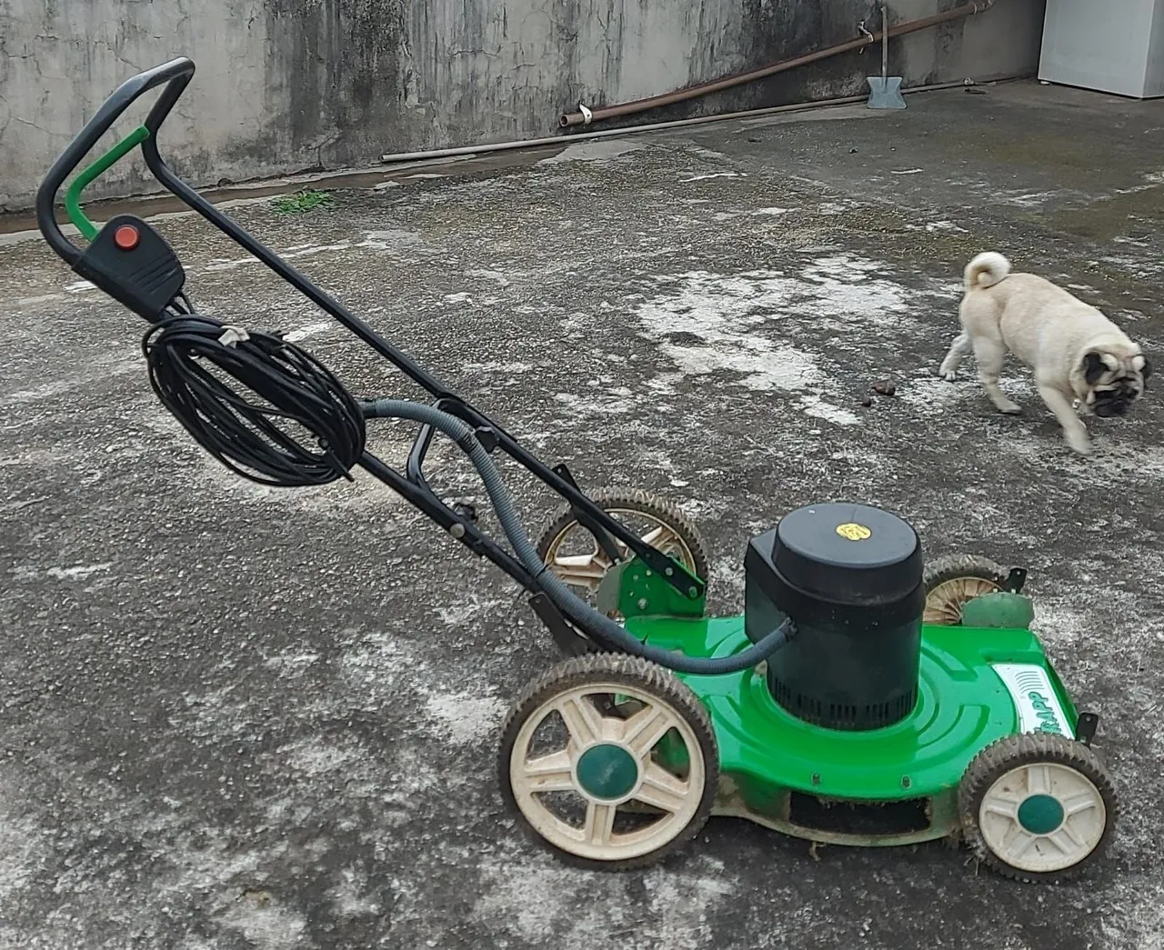 Cortador de Grama Elétrico