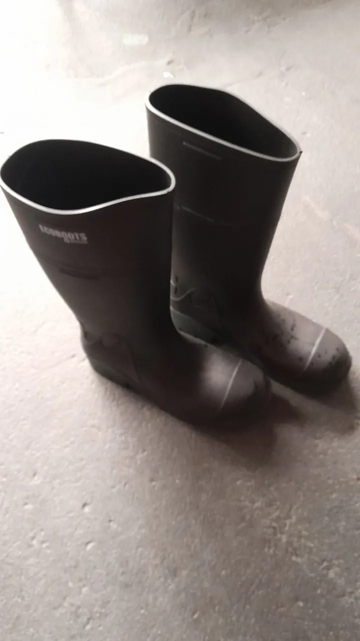Bota