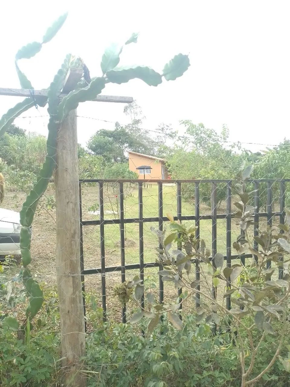 Troca-se chácara por casa em Itapetininga  - Foto 2