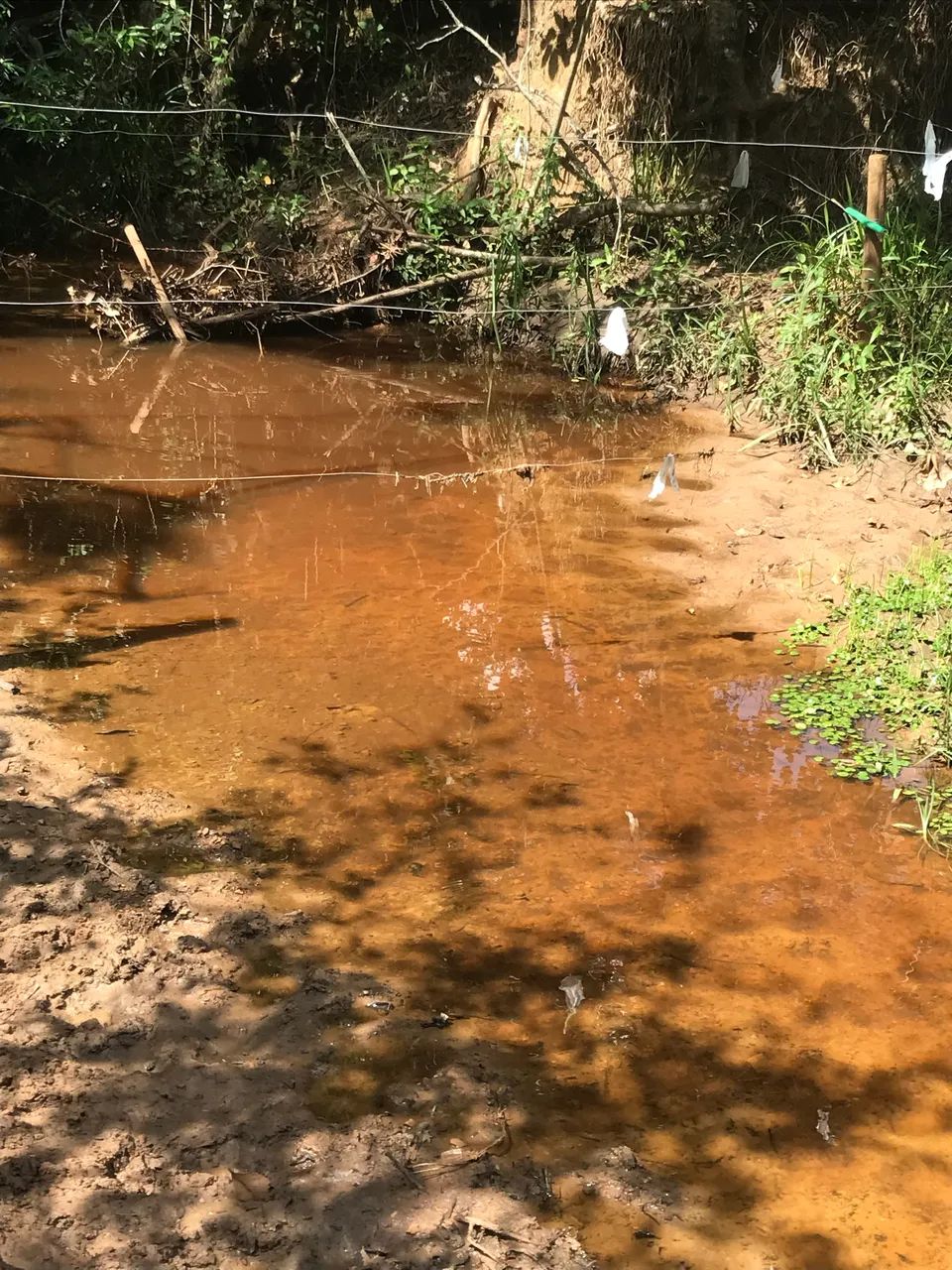 Chácara a venda  - Foto 8
