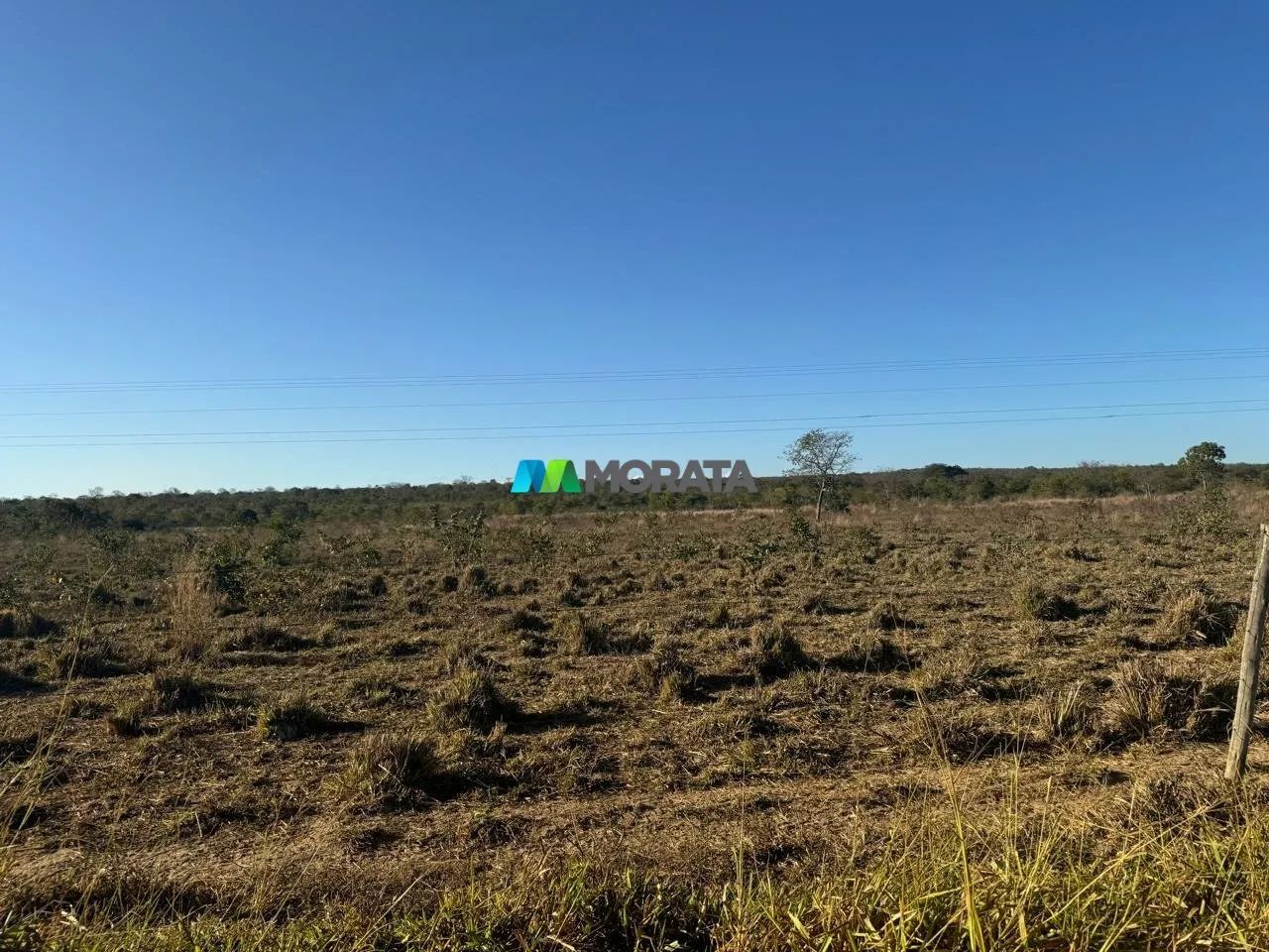 FAZENDA À VENDA - 887 HECTARES - ENGENHEIRO NAVARRO (MG)