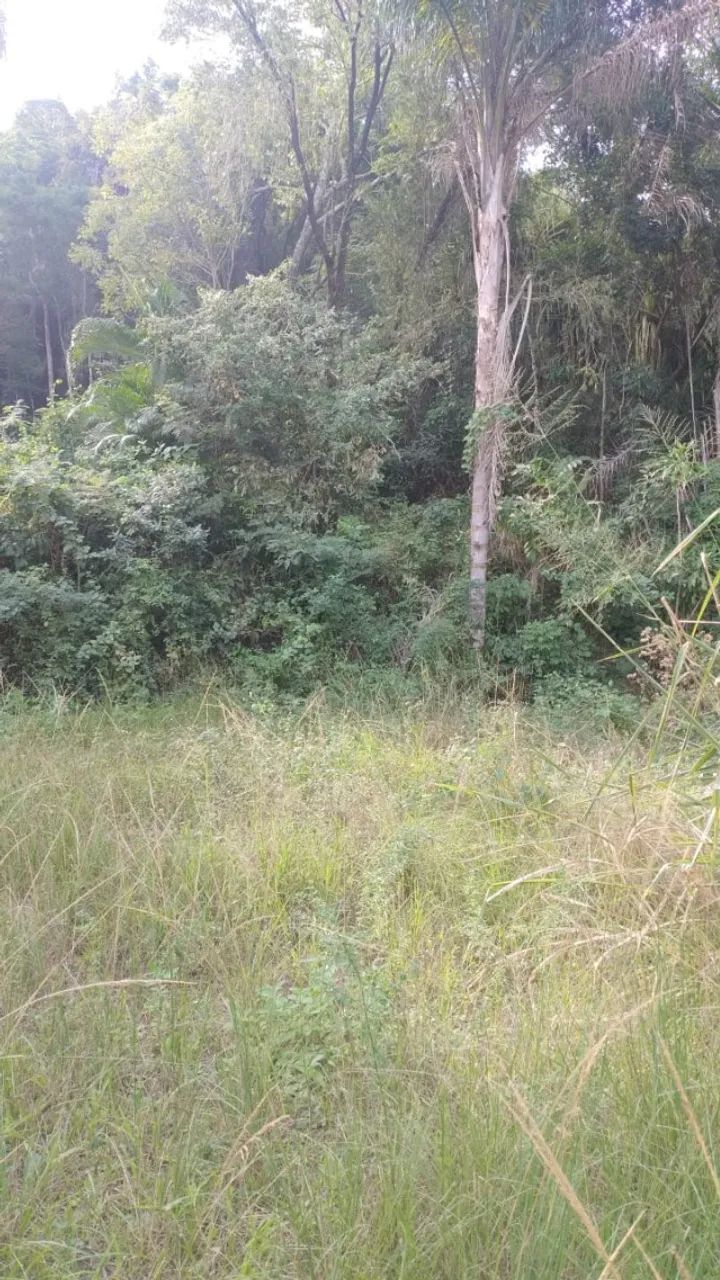 Oportunidade.Terreno (16.000 m²); preço R$ 1.000.000,00 (um milhão). Estuda-se proposta. - Foto 9