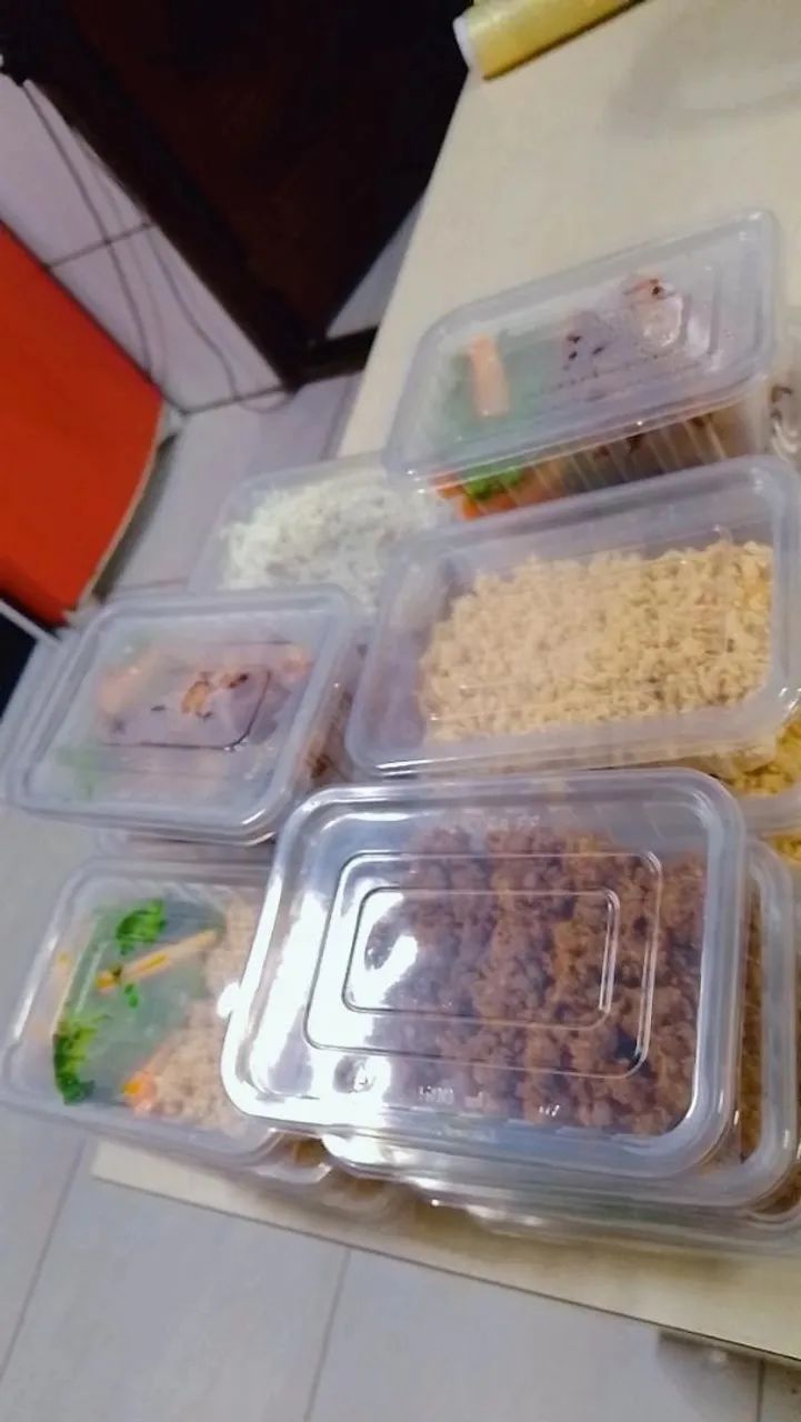 Comida congelada  - Foto 2