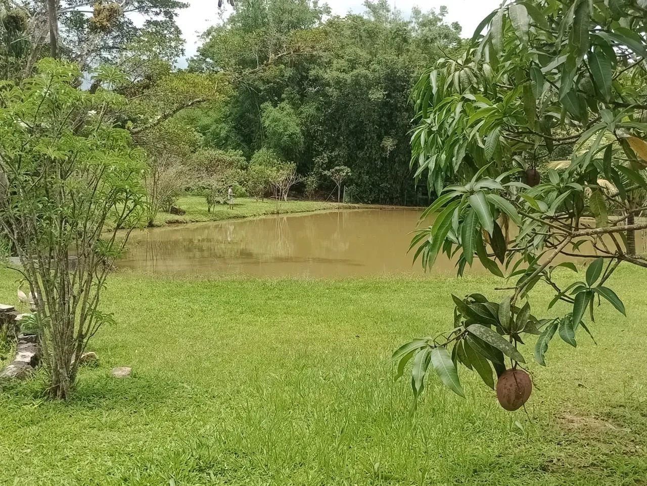 Lotes sítios e chácaras a partir de 600 metros - Foto 3