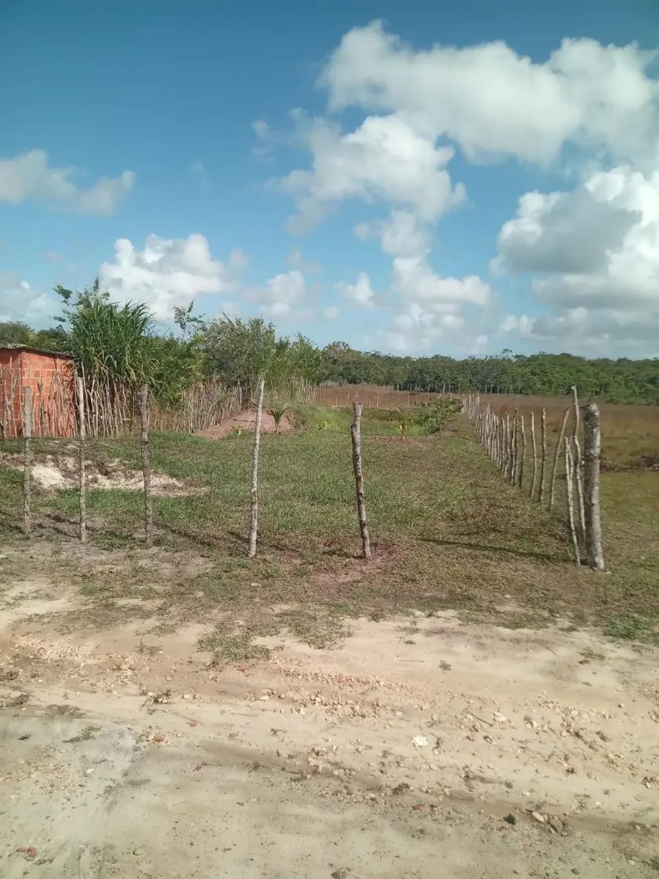 Vende- Se Terreno em Pacatuba- Se - Foto 4