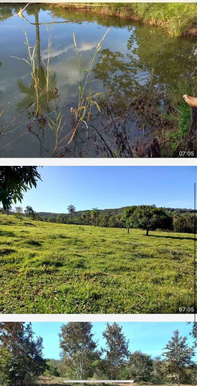 Fazenda em campo florido minas 