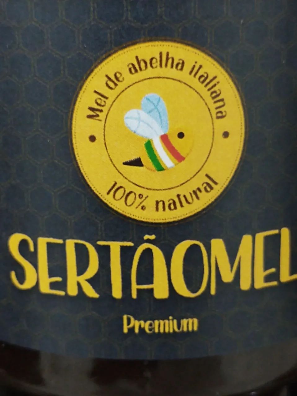 Mel de Abelha Italiana Sertãomel Premium - Foto 3