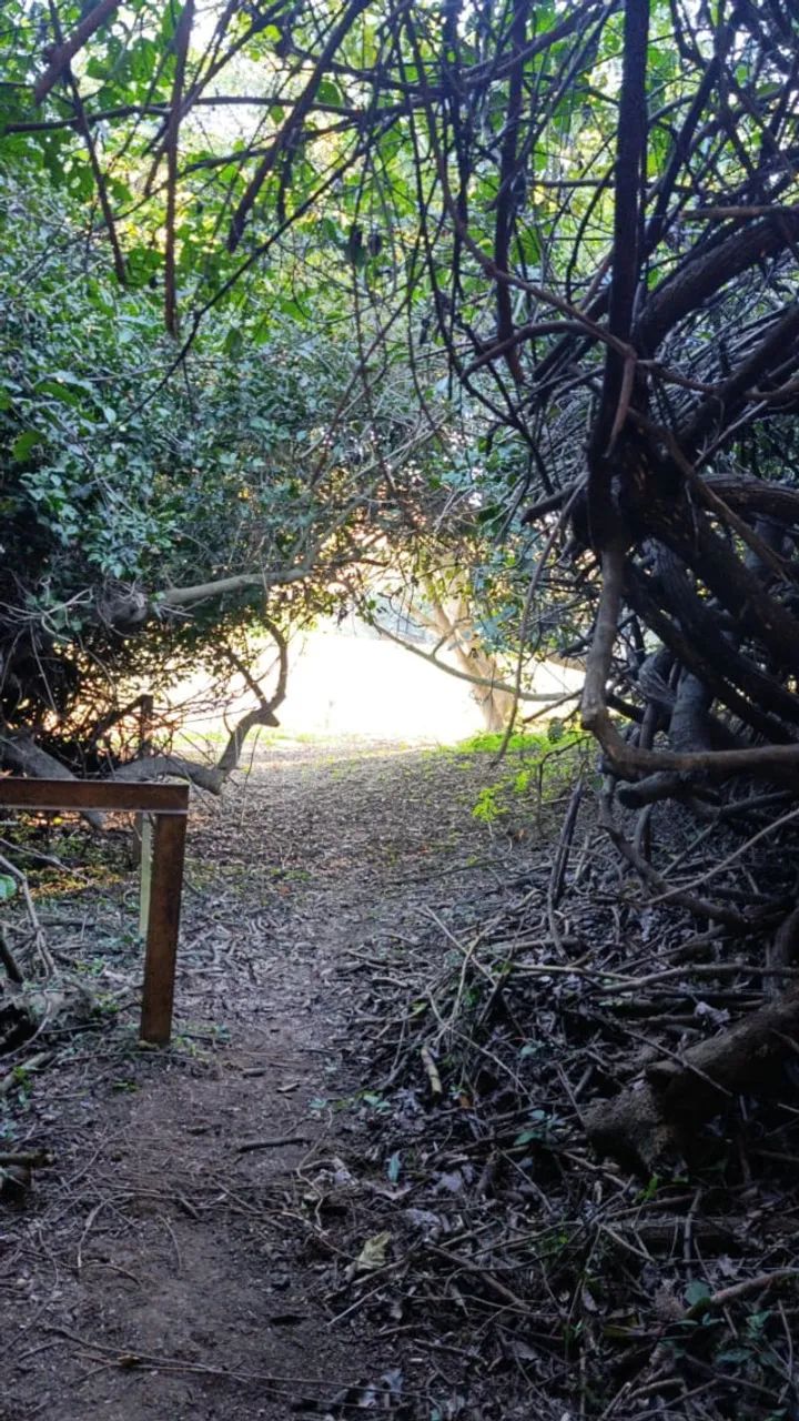 Sitio Cachoeira das Ripas - Foto 4