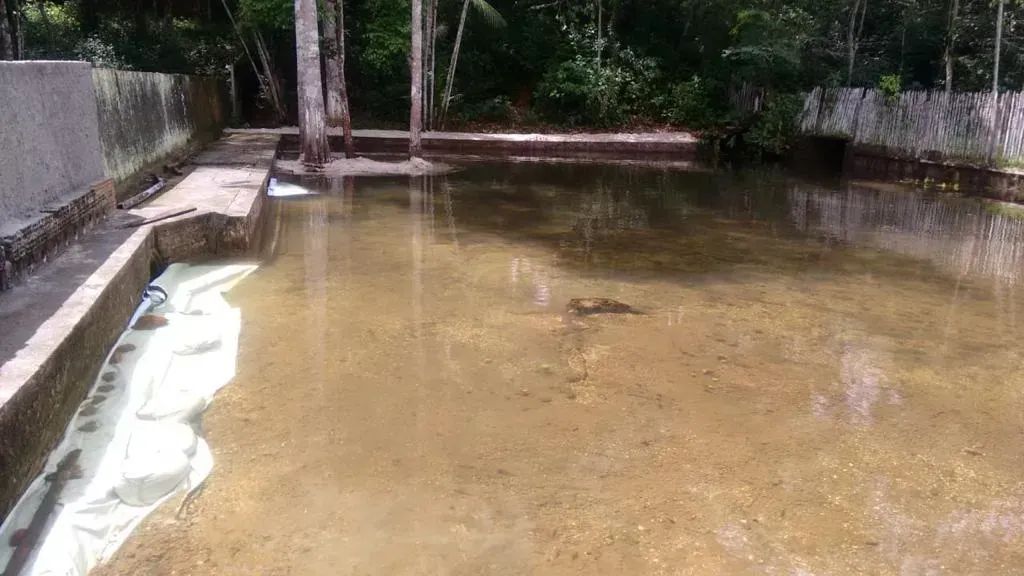 BELISSIMO SITIO ESTRADA DE MOSQUEIRO para venda com 88000M²  COM CASA SEDE PRONTA E MOBILI - Foto 2