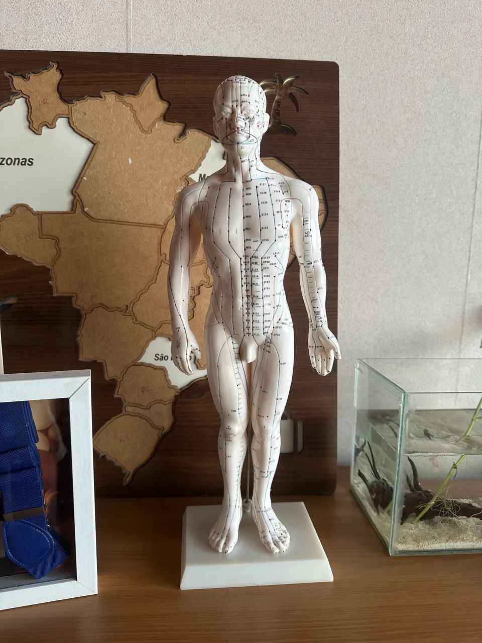 Boneco acupuntura 50cm