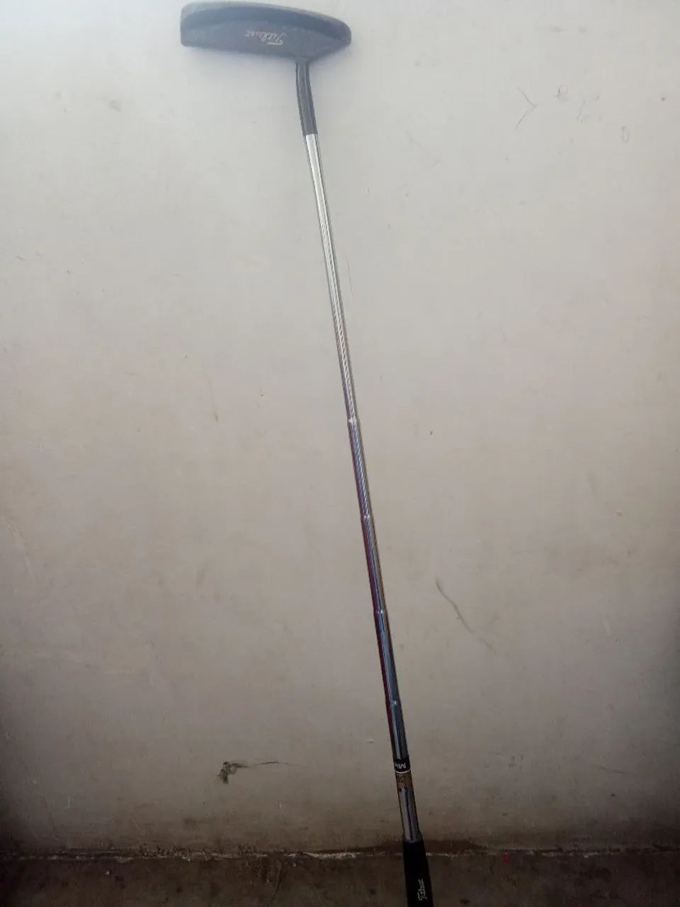 Taco golf Scotty 