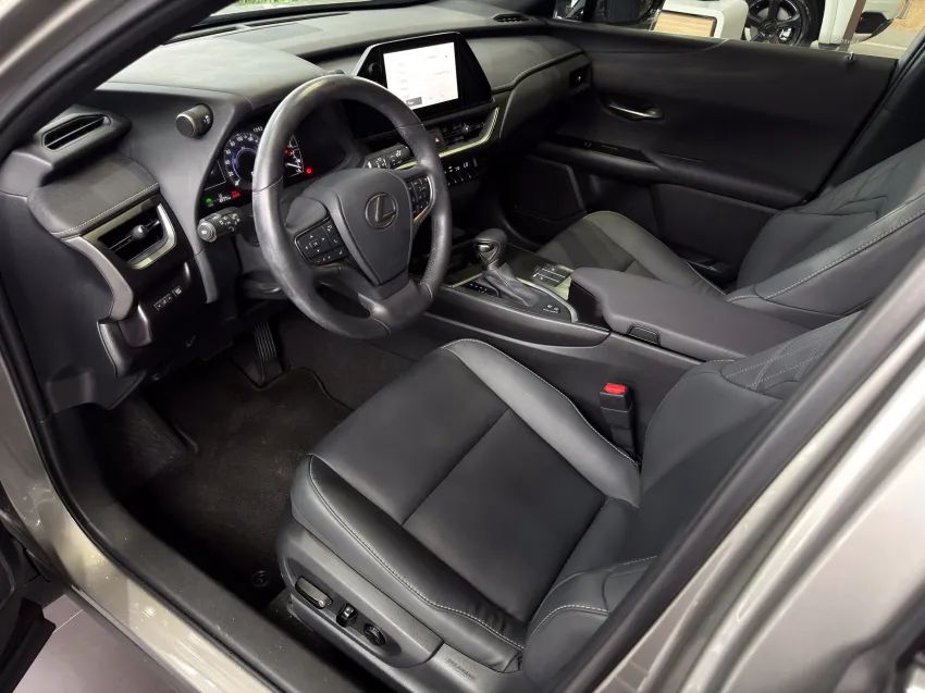 Lexus UX-250h Dynamic 2.0 16V Aut.(hybrid), foto 14 de 19