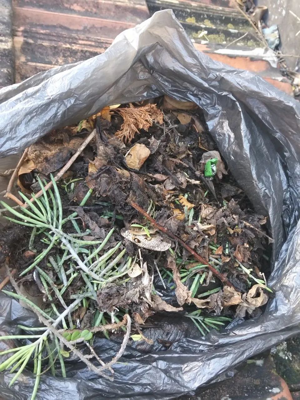 Manutenção de telhado e calha! * - Foto 3