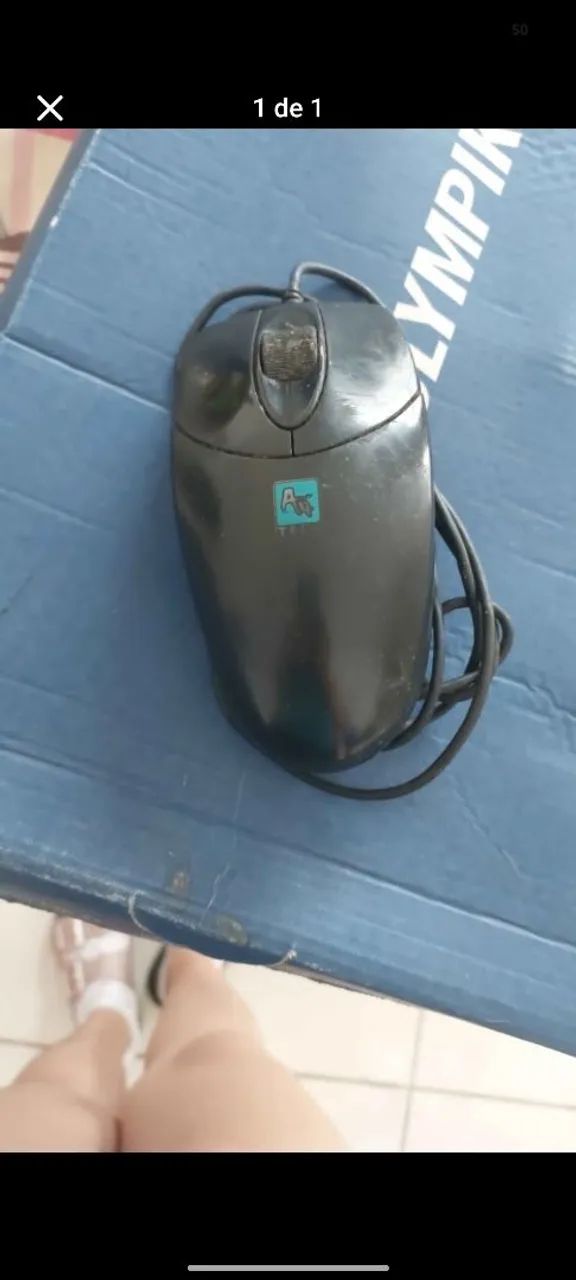 Mouse 