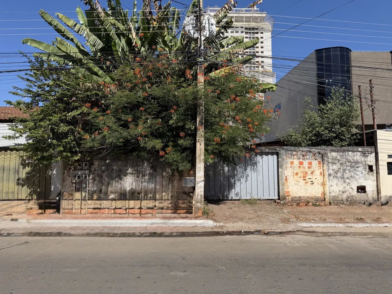 Lote Jardim América 453,60 m² - Foto 2