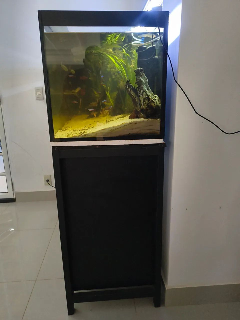 Aquário Completo - Foto 4