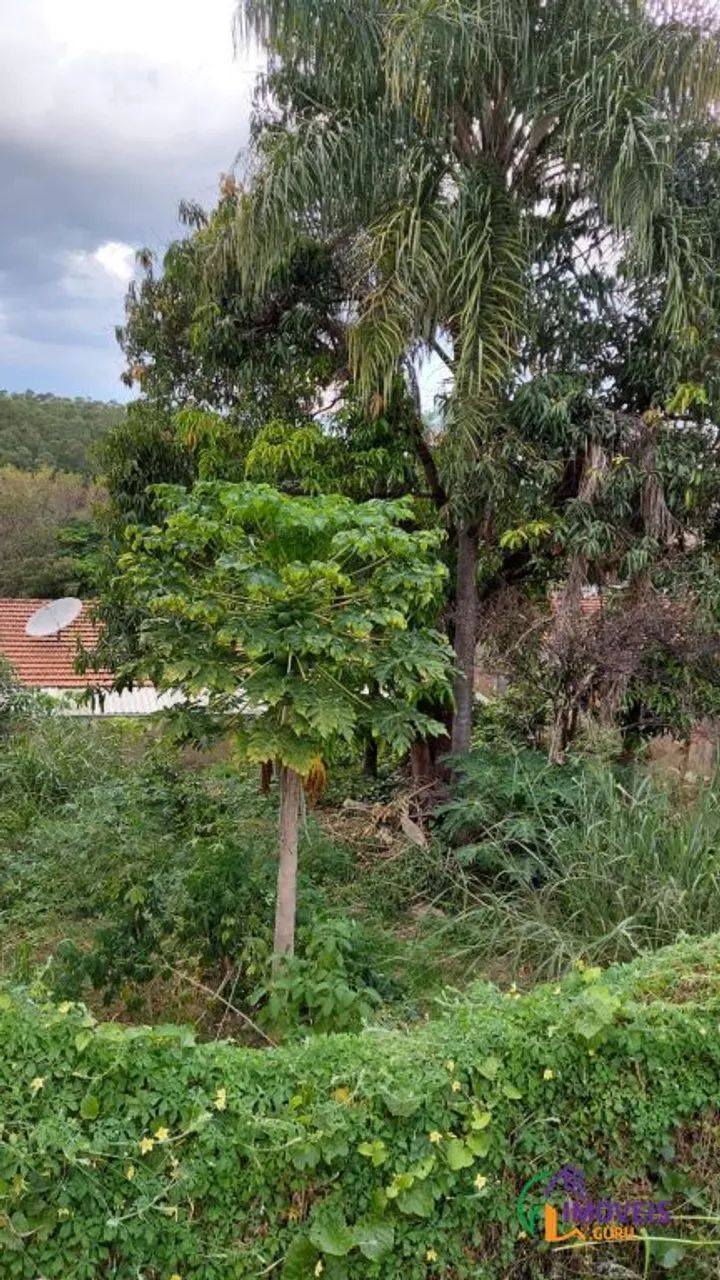 TERRENO - PARQUE FLORENCE - SP - Foto 4