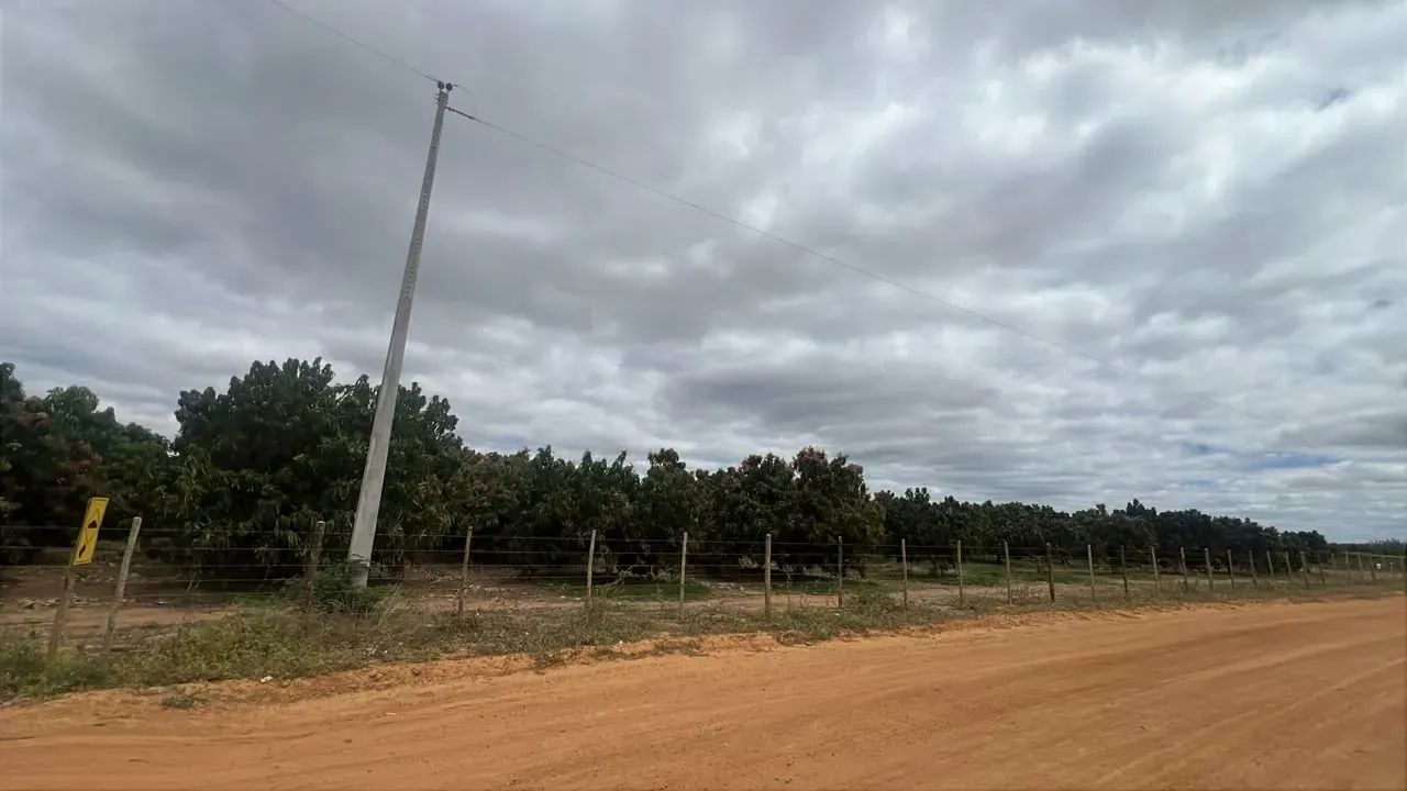 LOTE RURAL À VENDA! - Foto 5