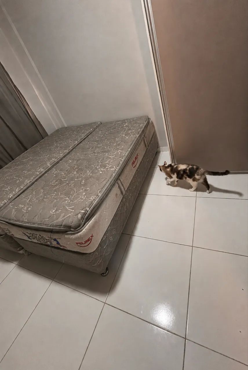 DOAÇÃO 2 COLCHÕES SOLTEIRO COM BOX ORTOBOM PELMEX