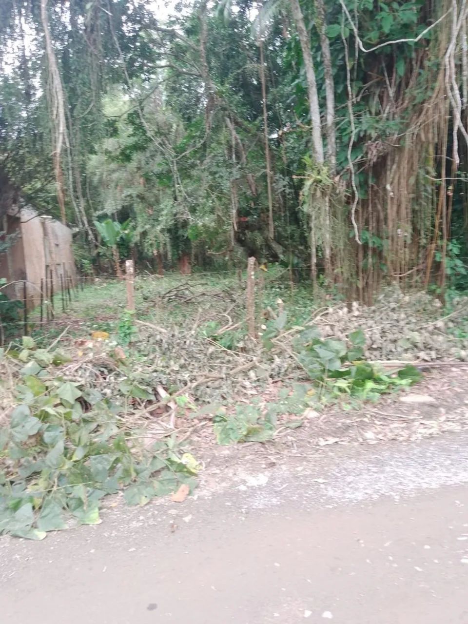 Vende se terreno  - Foto 5