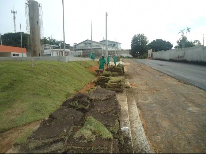 Venda e plantio de grama