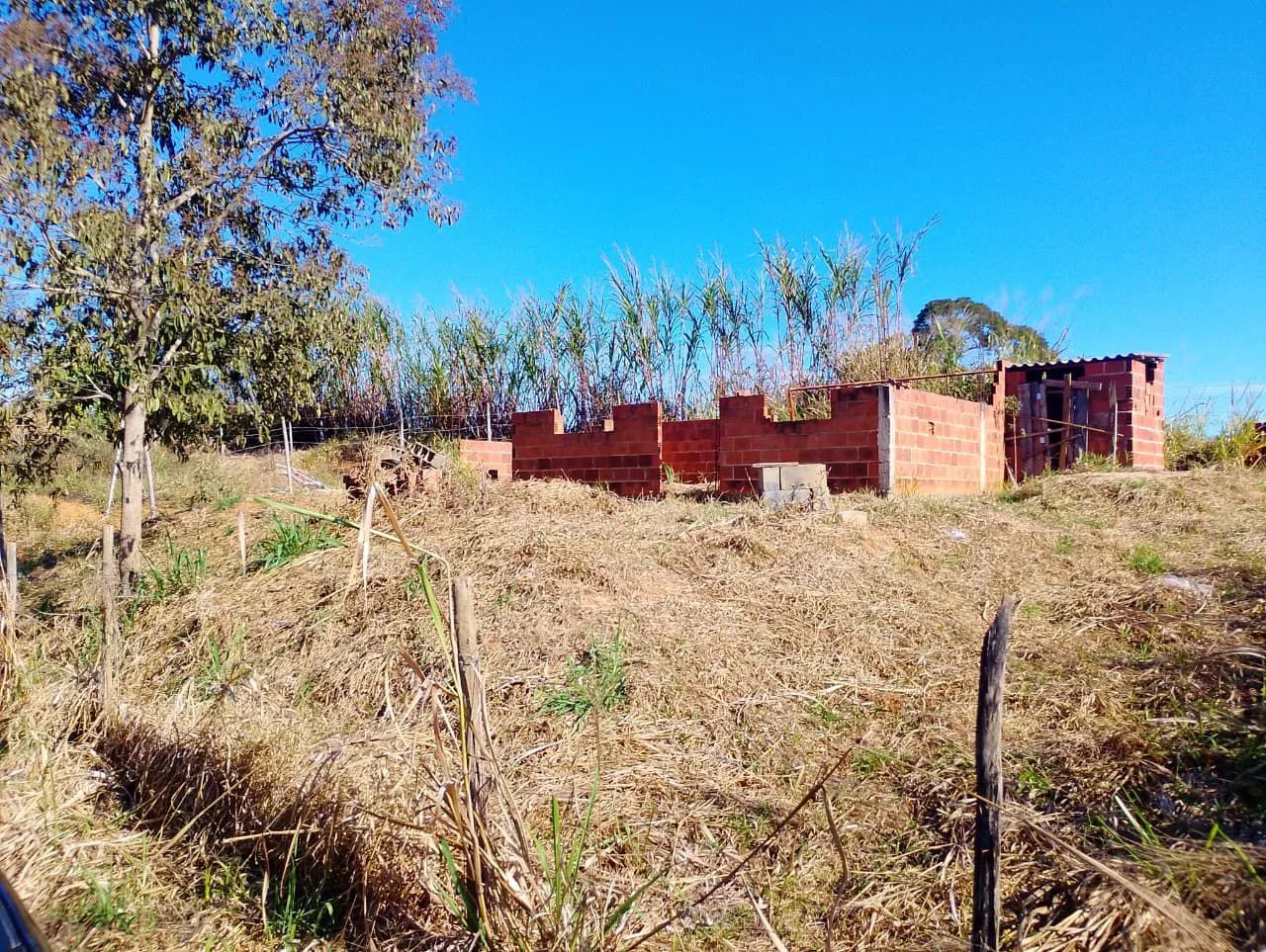 Terreno  - Foto 3