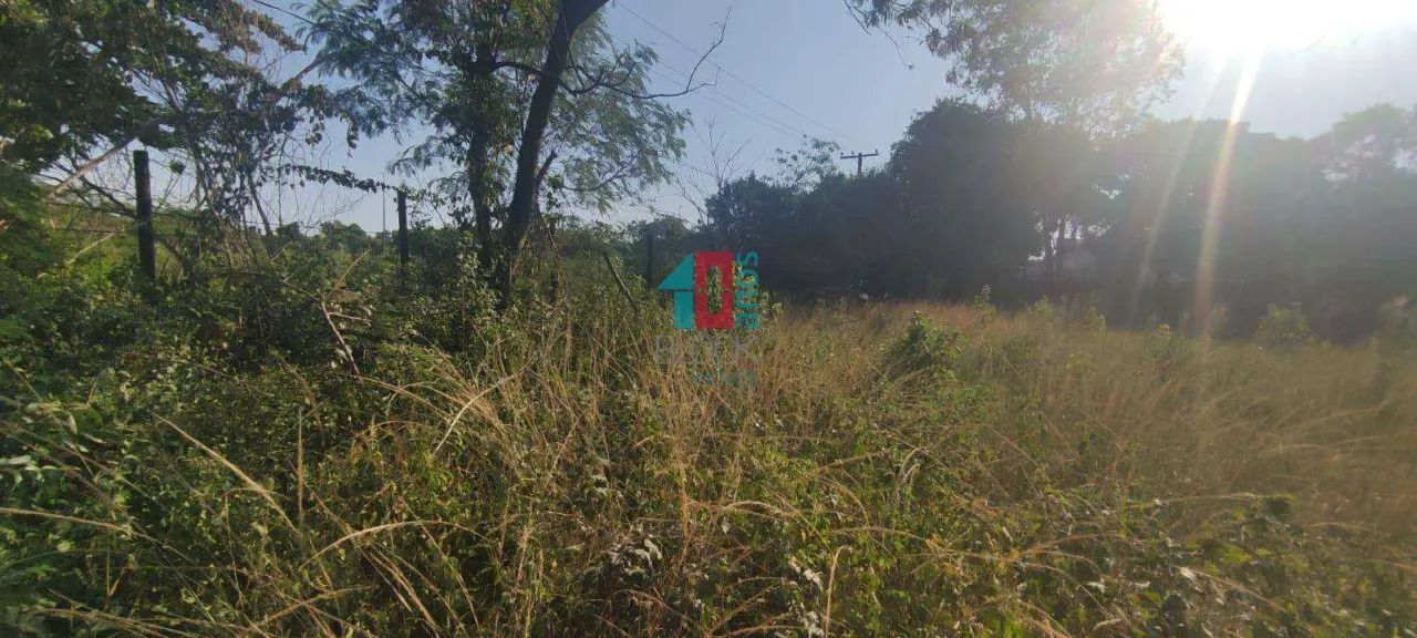 Santa Cruz | Terreno - Foto 4