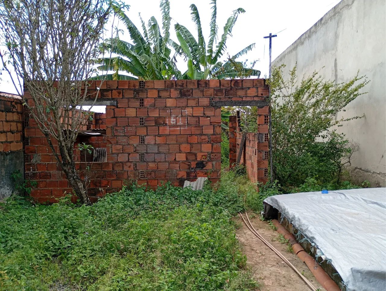 VENTO TERRENO MURADO MEDINDO 8x25 - Foto 5