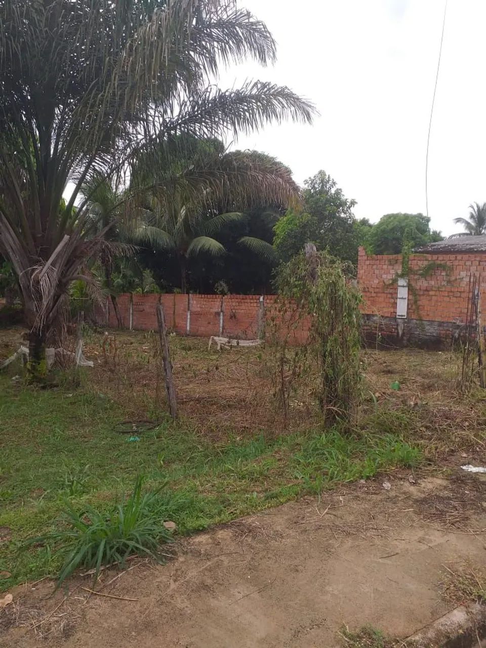 Vendo terreno 12x32m² - Foto 5