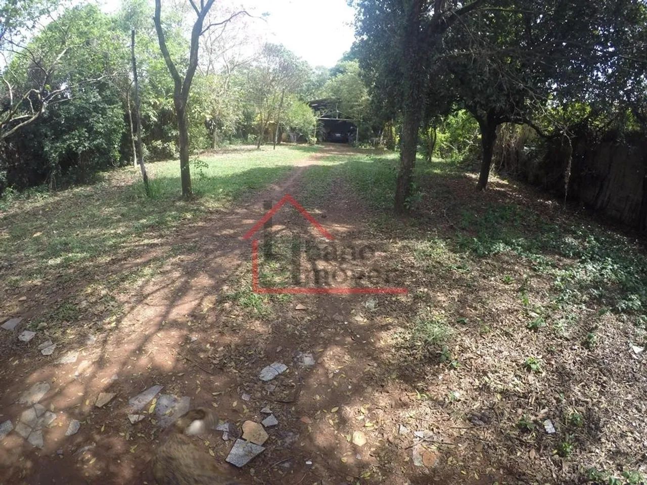 chácara - Chácara Santa Margarida - Campinas - Foto 3