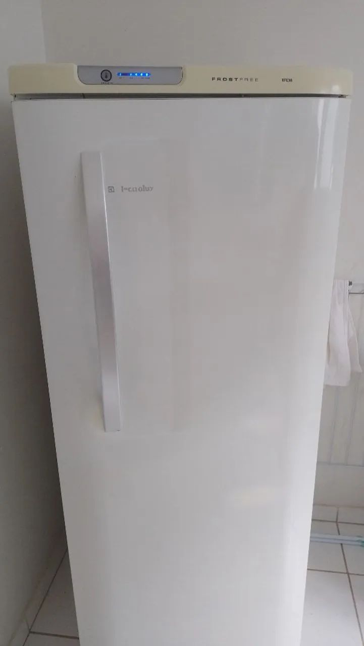 Geladeira 110V