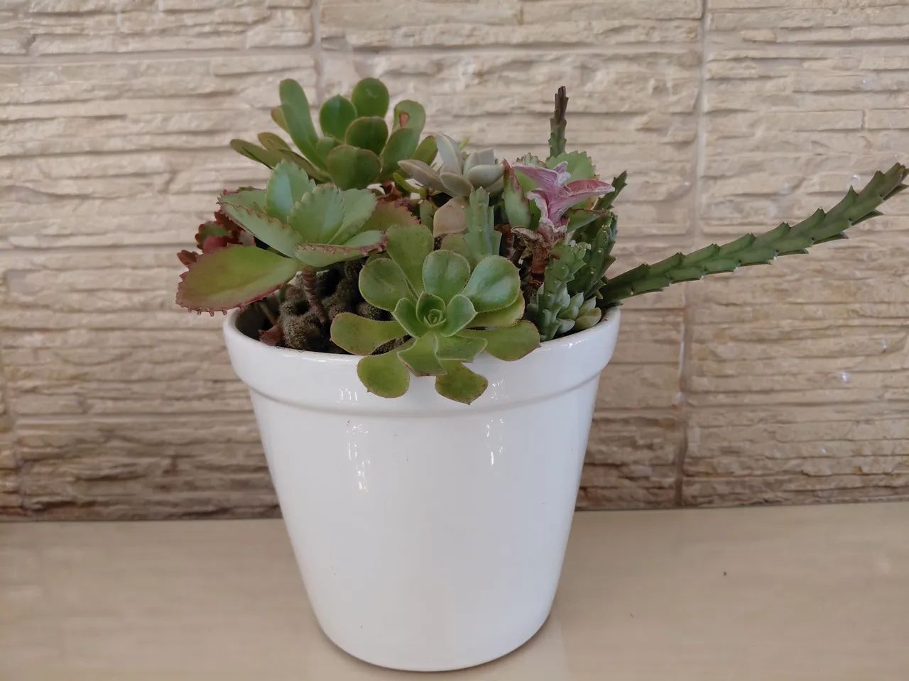 Decoração de casa 