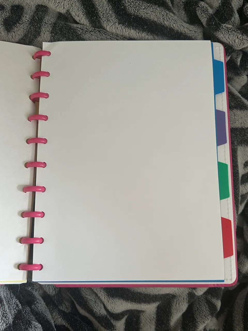CADERNO DE DISCOS - Foto 5