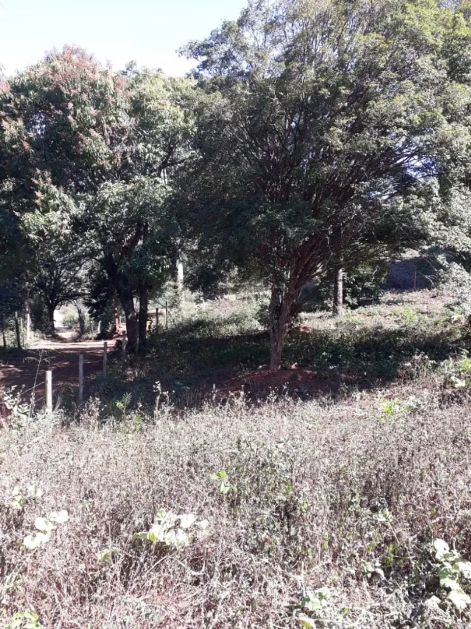 Chácara de 2000m² em Taquaraçu de Minas. - Foto 5