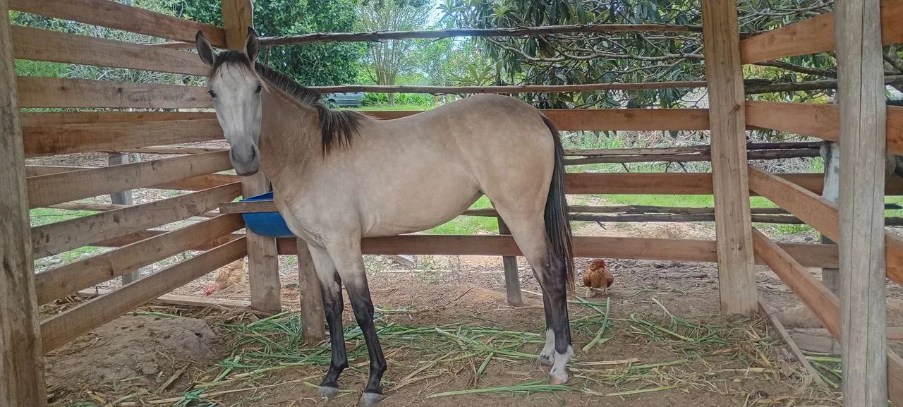 Vende se 