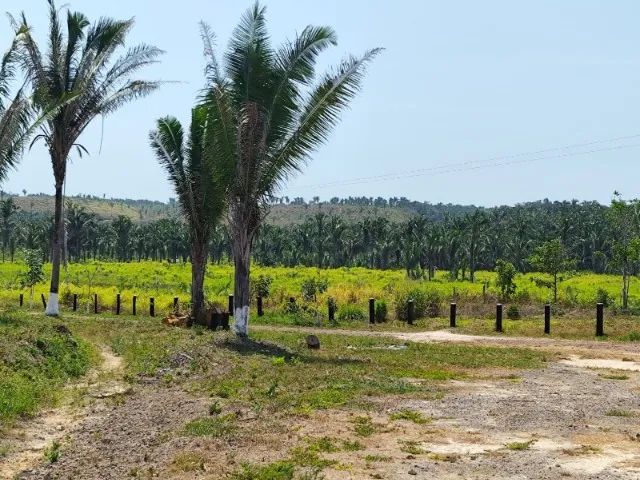 Fazenda em Vargem Grande do Maranhão - Foto 5