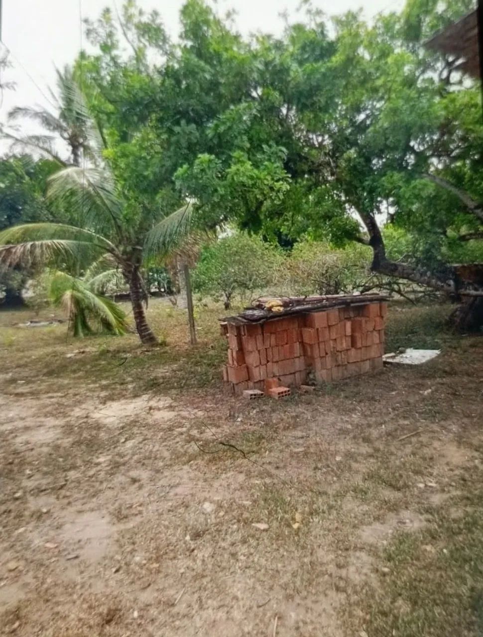 VENDO SÍTIO EM ALDEIA - Foto 4