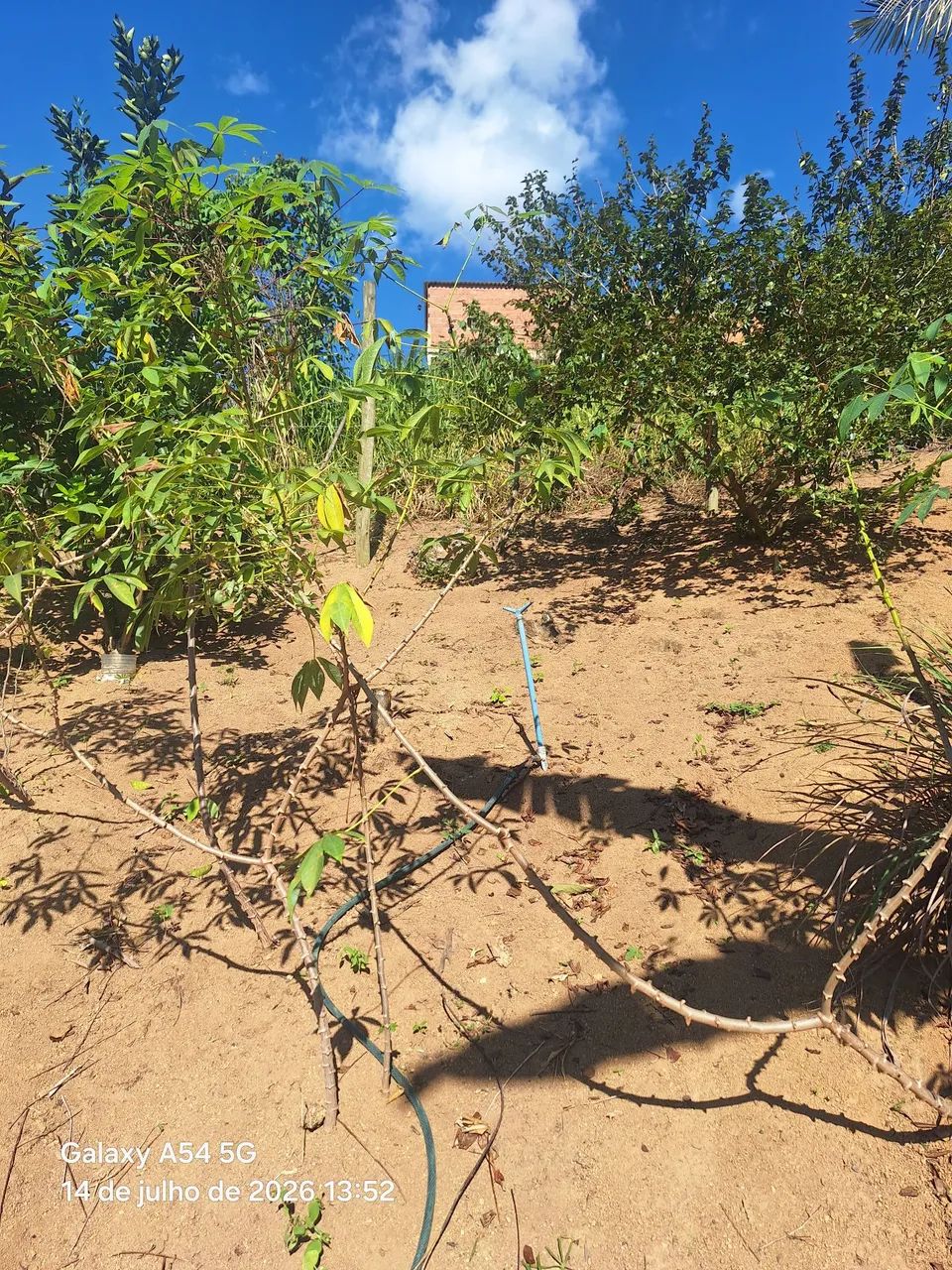 Venda - Foto 5