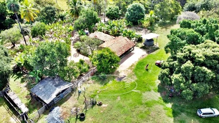Fazenda de Oportunidade em Ponte Alta - TO | 100 Alqueires - Foto 4