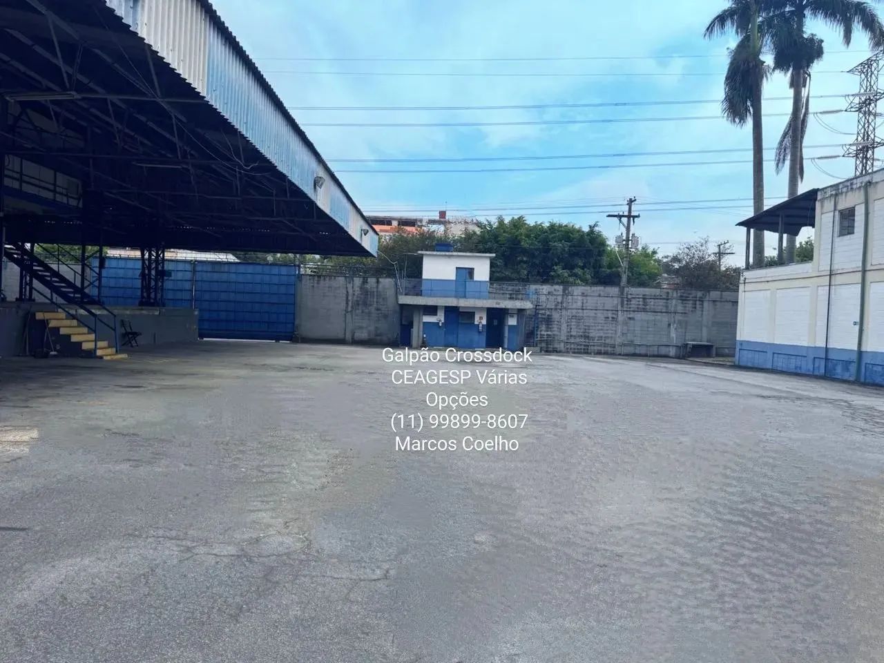 LEOPOLDINA CEASA - Foto 11