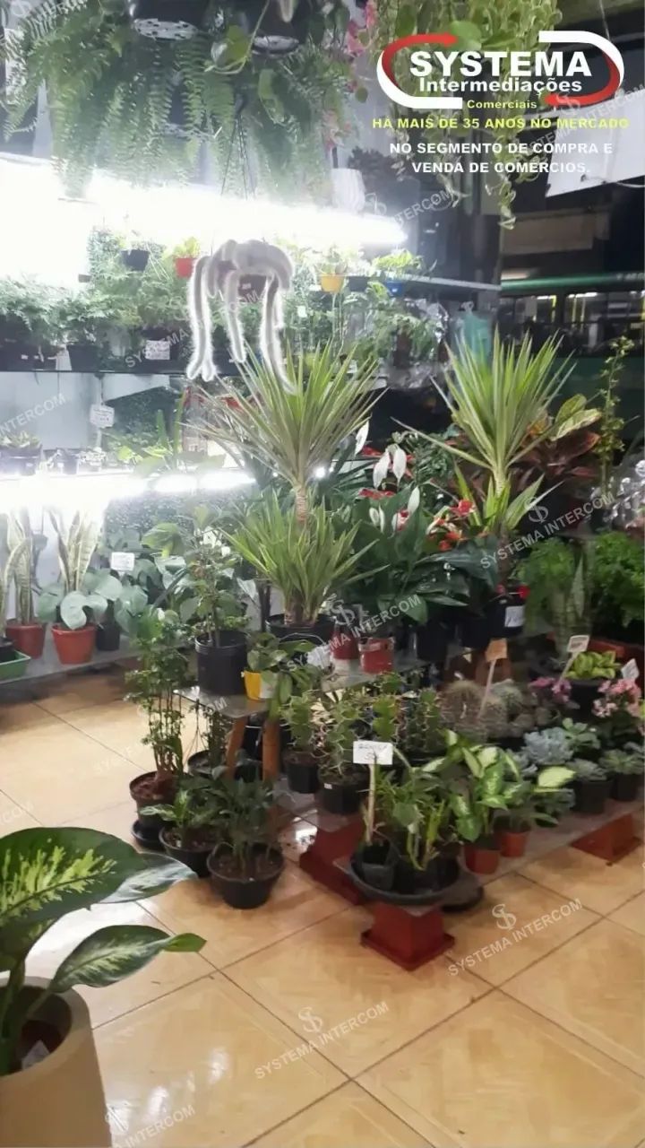 Loja de jardinagem e utilidades em Osasco - Foto 5