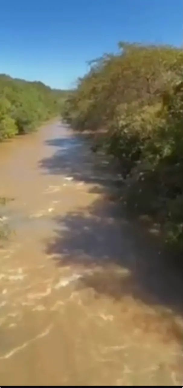 Fazenda com cana próximo Ituiutaba 