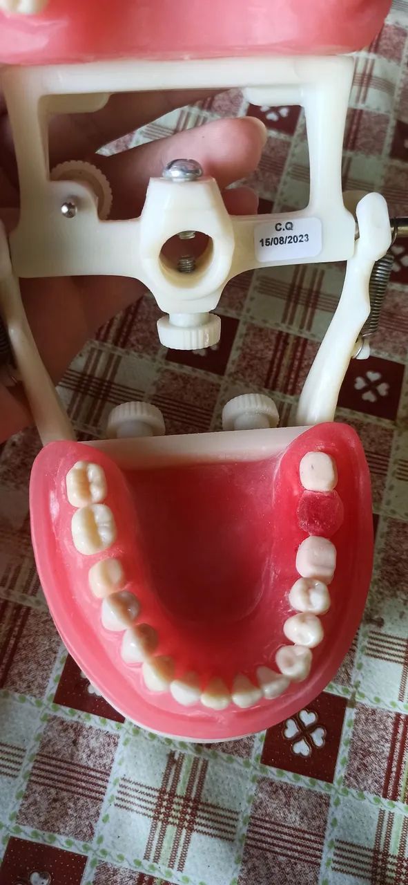 Manequim de Protese / Reabilitação oral  - Foto 5