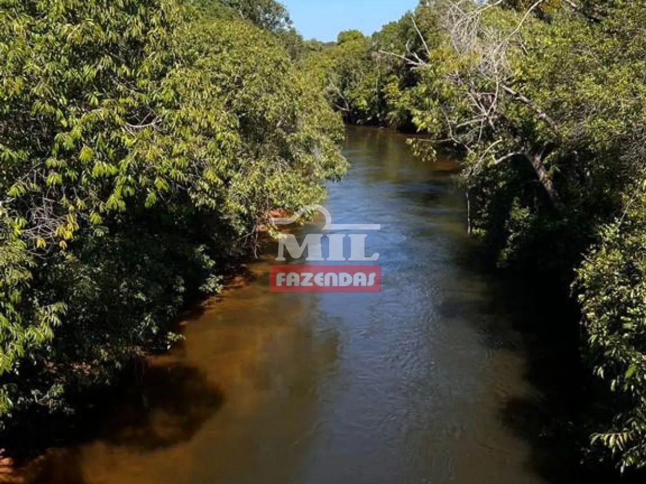 Fazenda com 8 Anos de Prazo no Tocantins. (13.000 Hectares) - Foto 2
